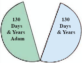 http://timeemits.com/HoH_Articles/mHoH_Articles/mPrimary_Ages_of_Adam_and_Seth_files/2x130_Green_Blue_Halvesk.jpg