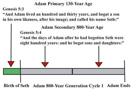 Understand_Gn_5_Ages_3b70pcb.jpg